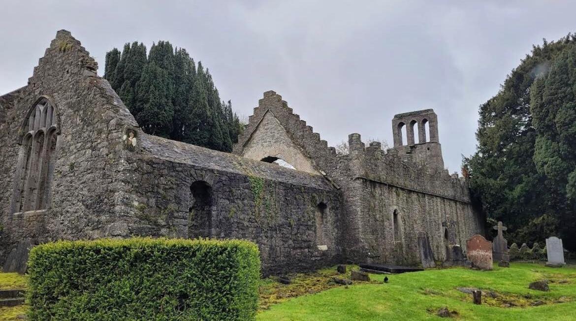 King Bed Just 8 Minutes To Airport Dublin