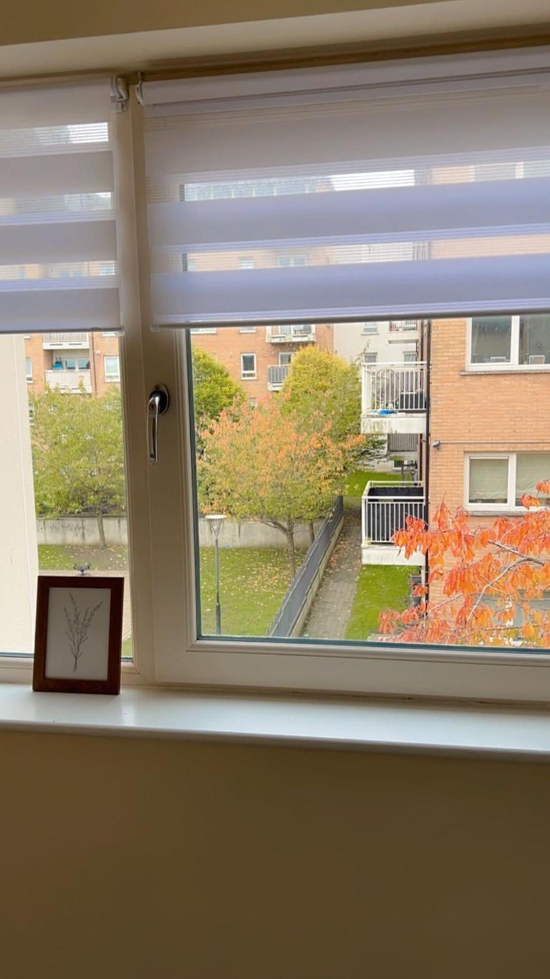 King Bed Just 8 Minutes To Airport * Dublin